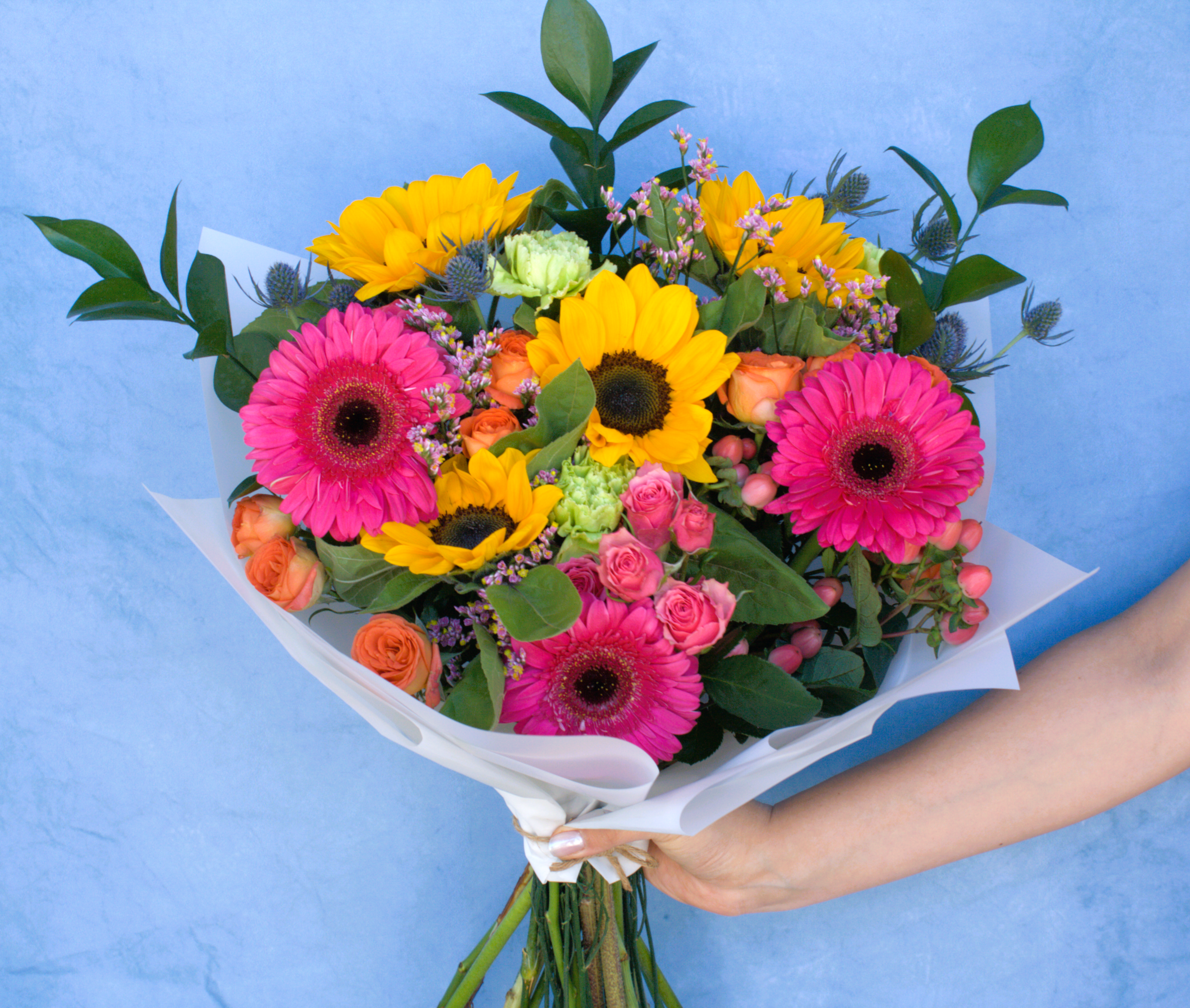 Coloridos gerberas alt